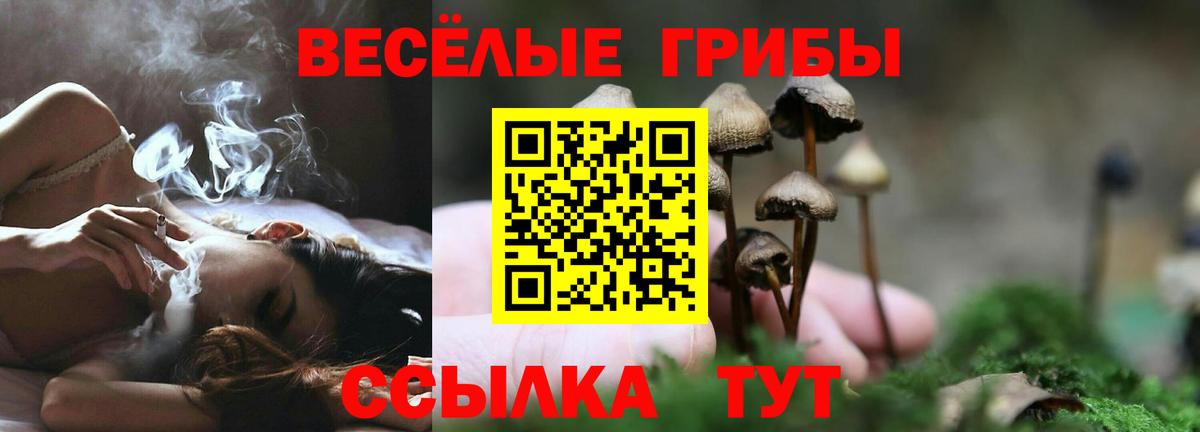 Галлюциногенные грибы MAGIC MUSHROOMS Благодарный